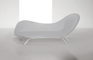 Shape 2008